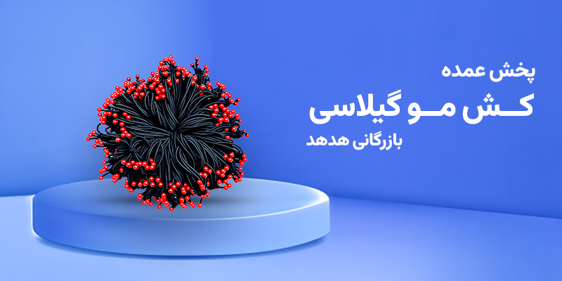 کش مو گیلاسی از کجا بخرم