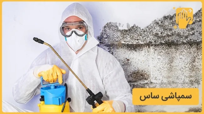 سمپاشی ساس؛ روش اصولی تشخیص و از بین بردن ساس در منزل